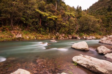 Vadideki Yeni Zelanda Nehri, güzel dağlar manzaralar.
