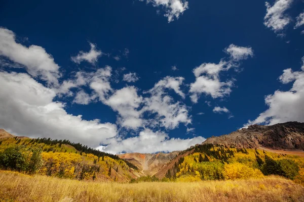 Colorato Autunno Giallo Colorado Stati Uniti Stagione Autunnale — Foto Stock