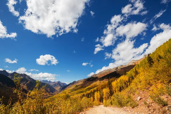 Automne Jaune Coloré Dans Colorado États Unis Saison Automne — Photo