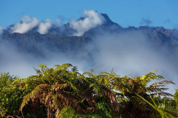 Schöne Naturlandschaften Mount Cook Nationalpark Südinsel Neuseeland — Stockfoto