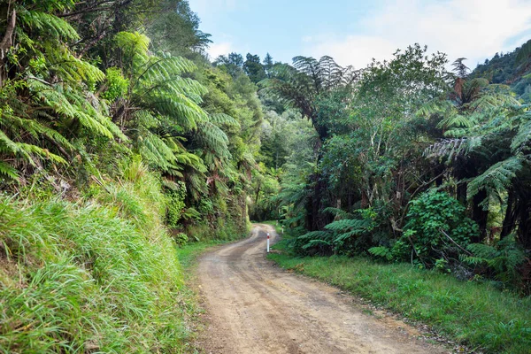 road in remote jungle in New Zealand