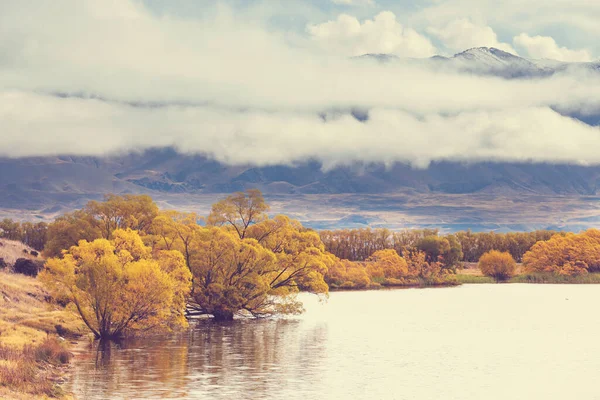 Saison Automne Nouvelle Zélande Montagnes — Photo