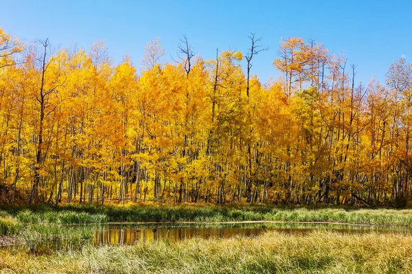 Bellissimo Lago Autunno Stagione — Foto Stock