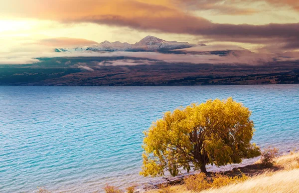 Bellissimo Lago Autunno Stagione — Foto Stock