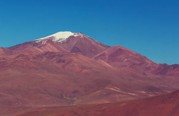 볼리비아 알티플라노의 아메리카를 여행하다 — 스톡 사진