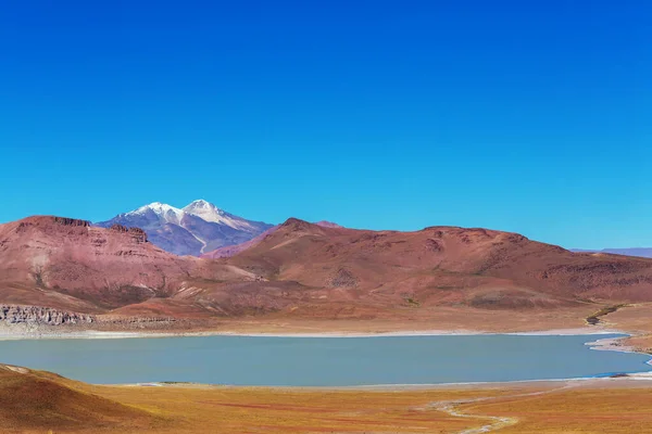 Niezwykłe Krajobrazy Górskie Boliwii Altiplano Podróży Przygoda Ameryka Południowa — Zdjęcie stockowe