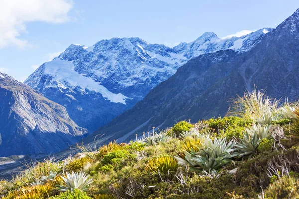 Vackra Naturlandskap Mount Cook National Park Sydön Nya Zeeland — Stockfoto