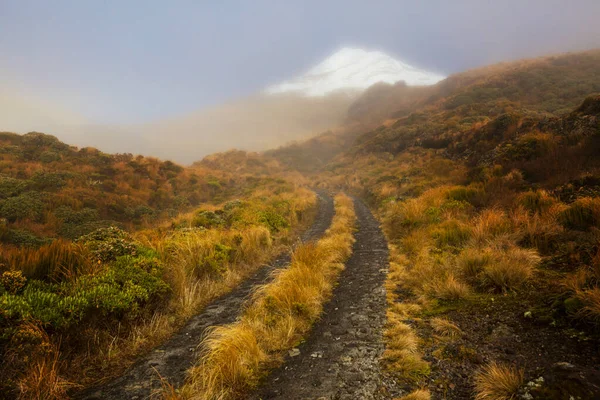 Mount Taranaki Mount Egmont Národním Parku Egmont Severní Ostrov Nový — Stock fotografie