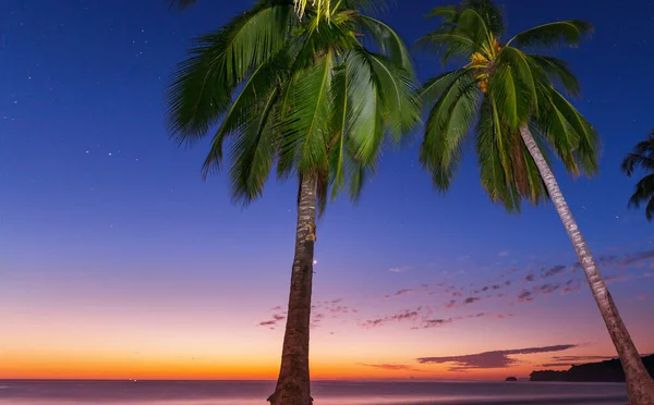 Güzel Fantezi Tropikal Plajı Karanlıkta — Stok fotoğraf
