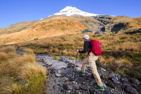 Mount Taranaki Mount Egmont Egmont National Park North Island Nieuw — Stockfoto