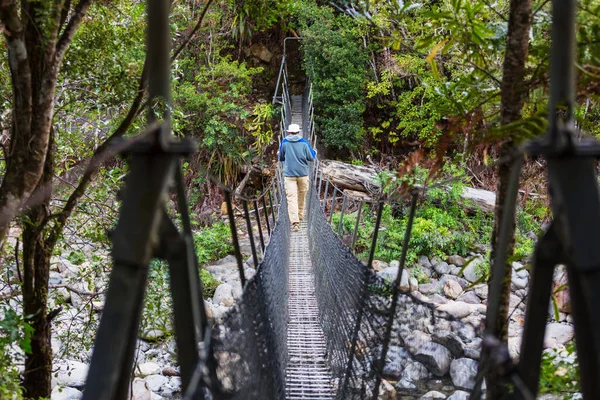 ニュージーランドでのハイキングやトランプ 旅と冒険のコンセプト — ストック写真