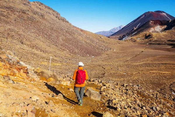 Paisagens Vulcânicas Incomuns Trilha Tongariro Crossing Parque Nacional Tongariro Nova — Fotografia de Stock