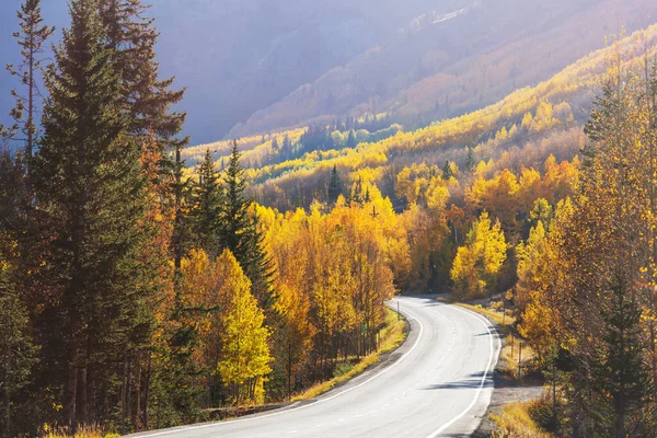 Kleurrijke Herfst Scene Het Platteland Weg Het Bos — Stockfoto