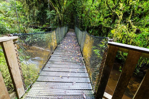 Ponte Madeira Sobre Riacho Montanhas — Fotografia de Stock