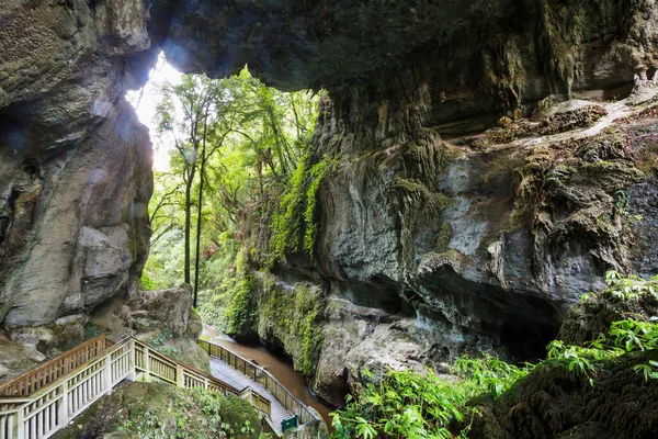 Необычные Пещерные Пейзажи Новой Зеландии — стоковое фото