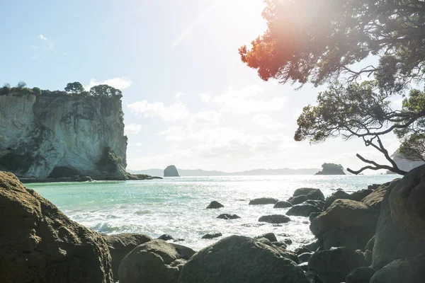 Hermosos Paisajes Playa Del Océano Nueva Zelanda Inspirando Fondo Natural — Foto de Stock