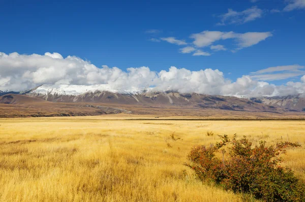 Piękne Naturalne Krajobrazy Parku Narodowym Mount Cook Wyspa Południowa Nowa — Zdjęcie stockowe