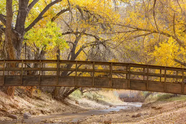 Sonbahar Parkında Ahşap Köprü — Stok fotoğraf