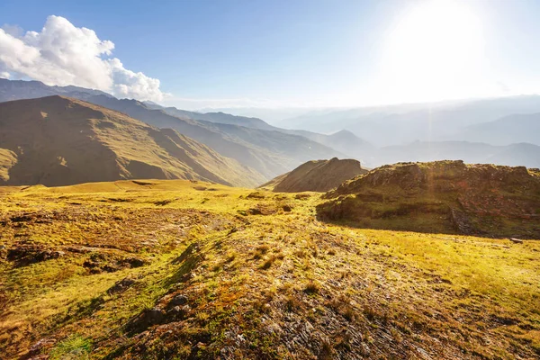 Sommer Grüne Hügel Den Bergen Landschaft Schöne Sommer Natur Wald — Stockfoto