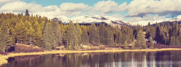 Colorado Daki Dağ Manzarası Rocky Dağları Colorado Abd — Stok fotoğraf