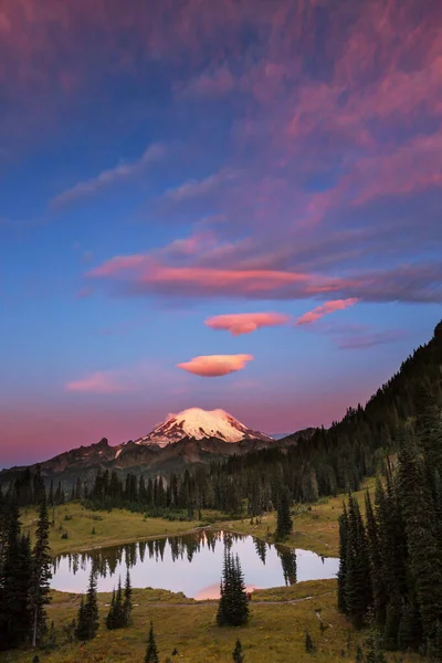 Parque Nacional Mount Rainier Washington — Fotografia de Stock