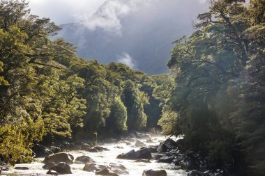 Vadideki Yeni Zelanda Nehri, güzel dağlar manzaralar.
