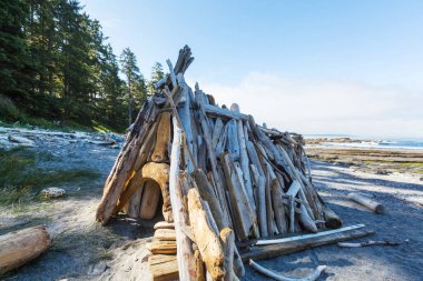 Kanada 'da Pasifik kıyısında güneşli bir gün