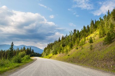 Alaska Otoyolu, Amerika Birleşik Devletleri
