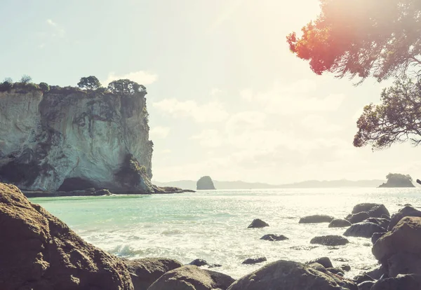 아름다운 풍경이었습니다 뉴질랜드의 비치였죠 자연스럽게 여행하고 영감을 — 스톡 사진