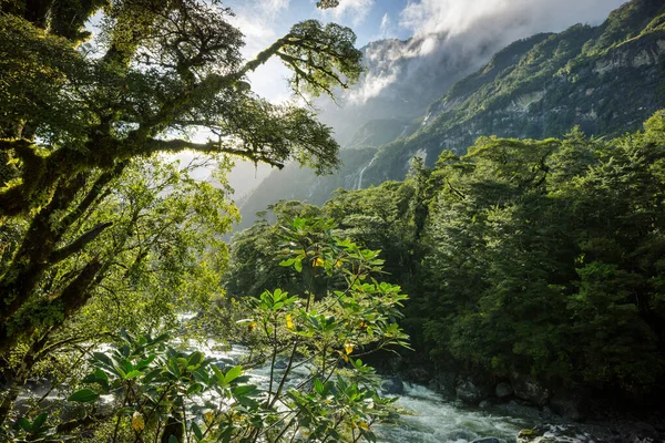 Nya Zeelands Flod Dalen Vackra Berg Landskap — Stockfoto