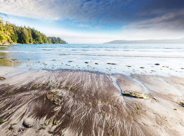 Vancouver Adası Ndaki Okyanus Plajı British Columbia Kanada — Stok fotoğraf