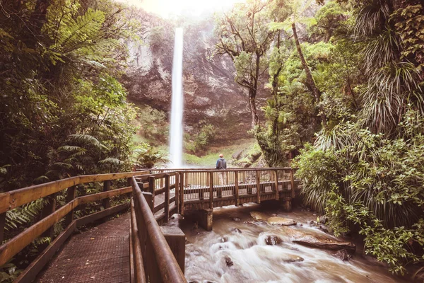 Belle Cascade Dans Forêt Tropicale Verte Nouvelle Zélande — Photo