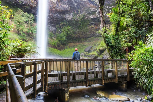 Beautiful Waterfall Green Rainforest New Zealand — Stock Photo, Image