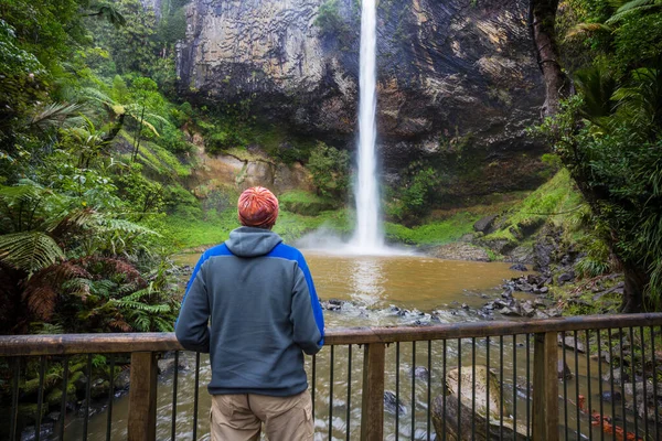 Prachtige Waterval Groen Regenwoud Nieuw Zeeland — Stockfoto