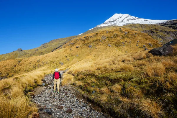 Monte Taranaki Monte Egmont Parque Nacional Egmont Isla Norte Nueva — Foto de Stock