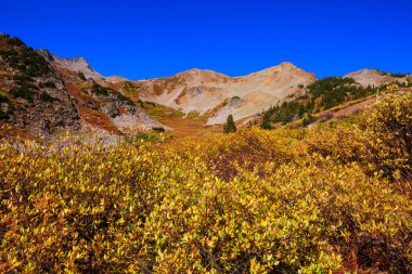 Colorado, ABD 'de renkli bir sonbahar. Sonbahar sezonu.