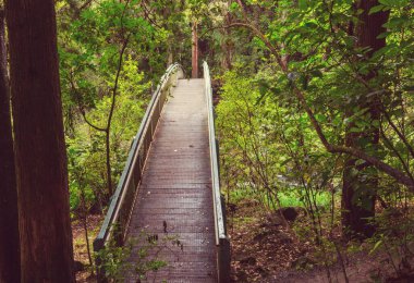 Dere üzerindeki ahşap köprü