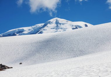 Mount Rainier Ulusal Parkı, Washington