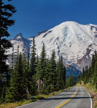 Mount Rainier Ulusal Parkı, Washington