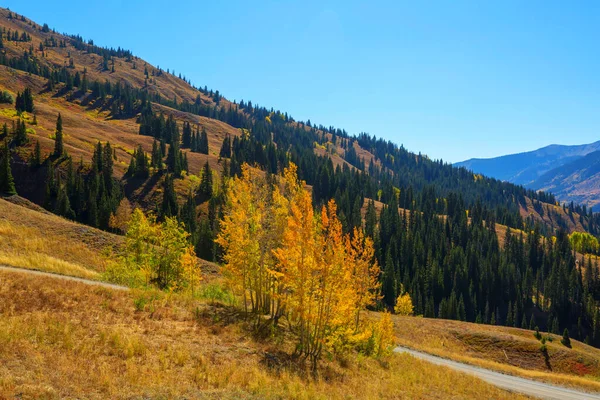 Colorado, ABD 'de renkli bir sonbahar. Sonbahar sezonu.
