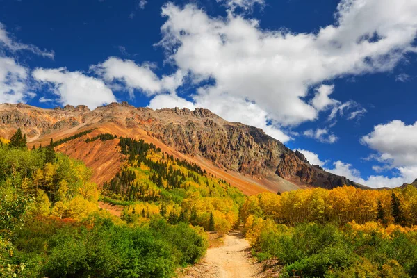 Colorido Otoño Amarillo Colorado Estados Unidos Temporada Otoño — Foto de Stock