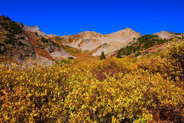 Kleurrijke Gele Herfst Colorado Verenigde Staten Herfstseizoen — Stockfoto