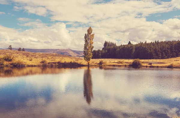 Höstsäsong Nya Zeeland Berg — Stockfoto