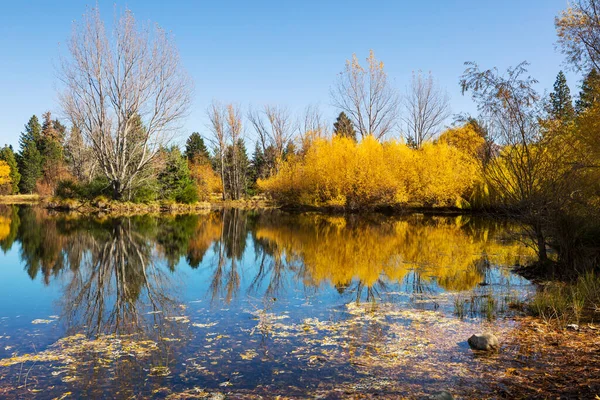 Güz mevsiminde güzel göl
