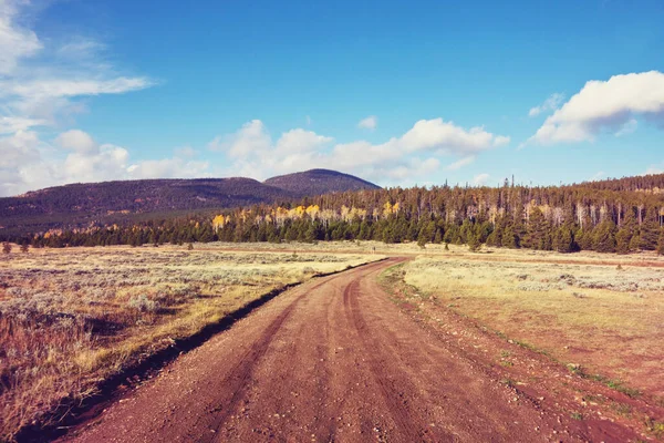 Scène Automne Colorée Sur Route Campagne Dans Forêt — Photo