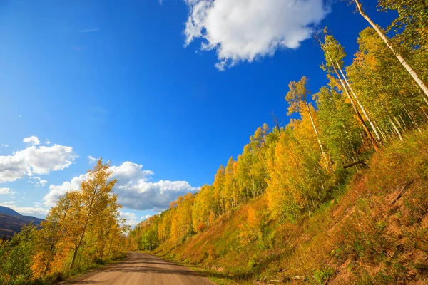 Colorida Escena Otoño Camino Rural Bosque —  Fotos de Stock