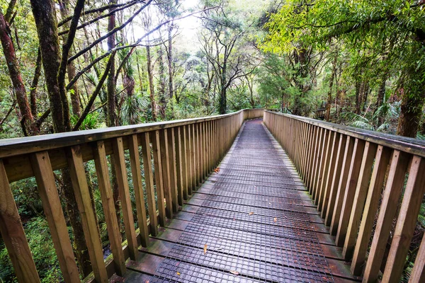 Wooden Boardwalk Forest — Stock Photo, Image