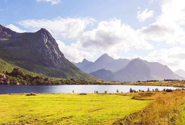 Kuzey Norveç 'teki Lofoten adalarındaki güzel manzaralar. Yaz mevsimi.