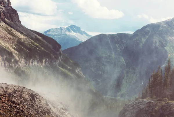 夏のカナダのロッキー山脈の美しい山の景色 — ストック写真