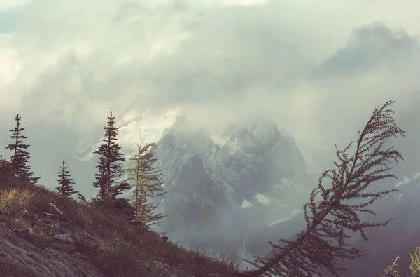 Vista Pitoresca Montanha Nas Montanhas Rochosas Canadenses Temporada Verão — Fotografia de Stock